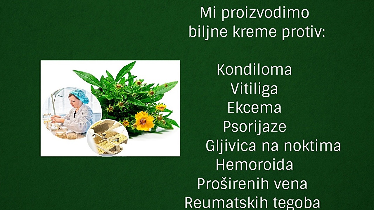 NASLOVNA_ZELENA_URADJENA.jpg